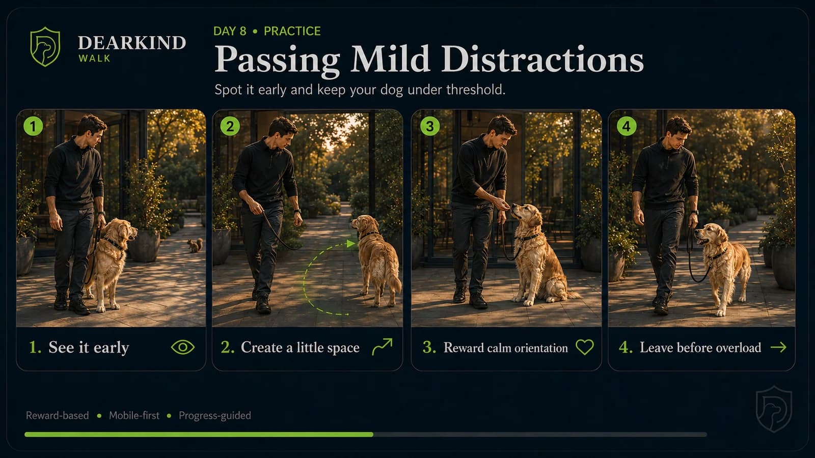 Dog training around distractions